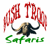 BUSH TROOP SAFARIS